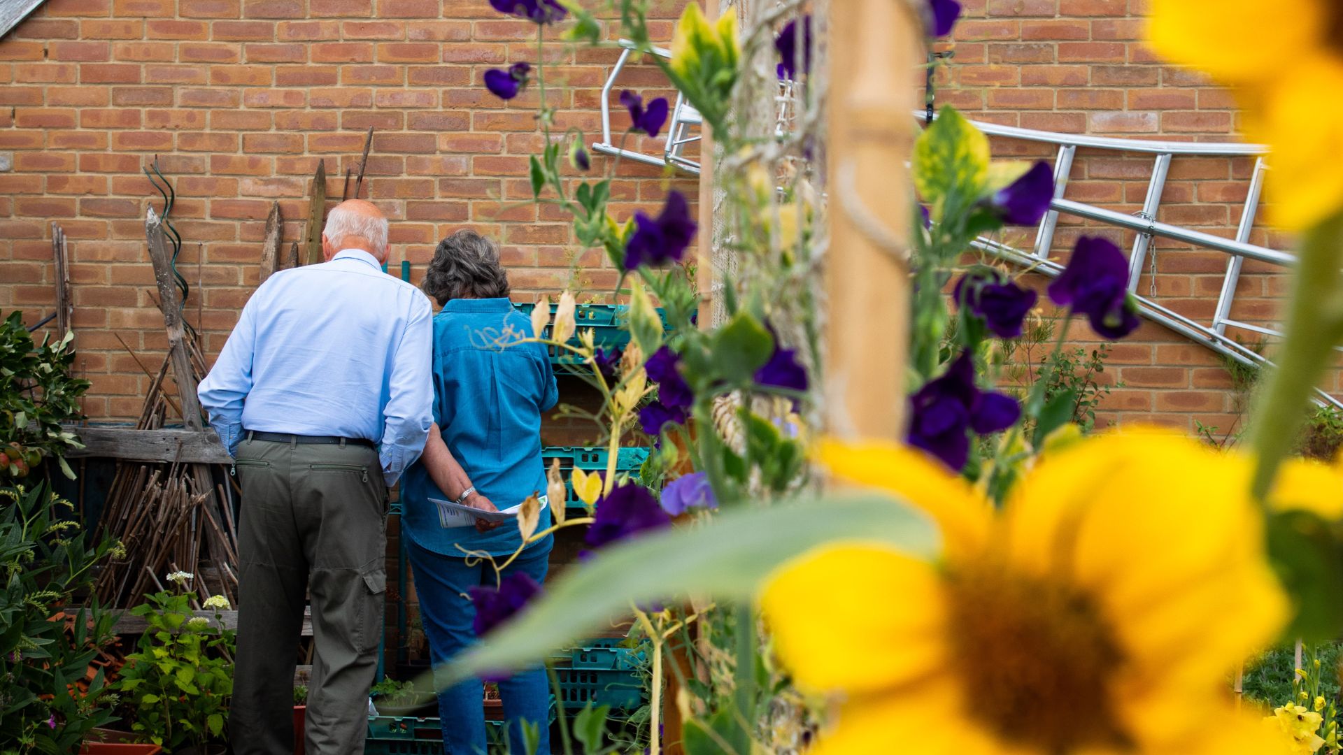 A National Garden Scheme open garden is a great opportunity to open the door to the hospice