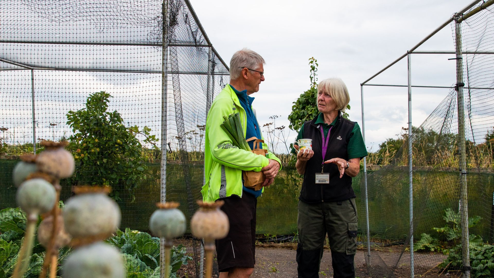 National Garden Scheme open gardens are a great chance for your garden volunteers to show off their work