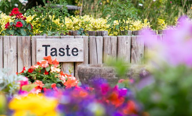 The taste garden at St Cuthbert's Hospice, part of their National Garden Scheme open gardens