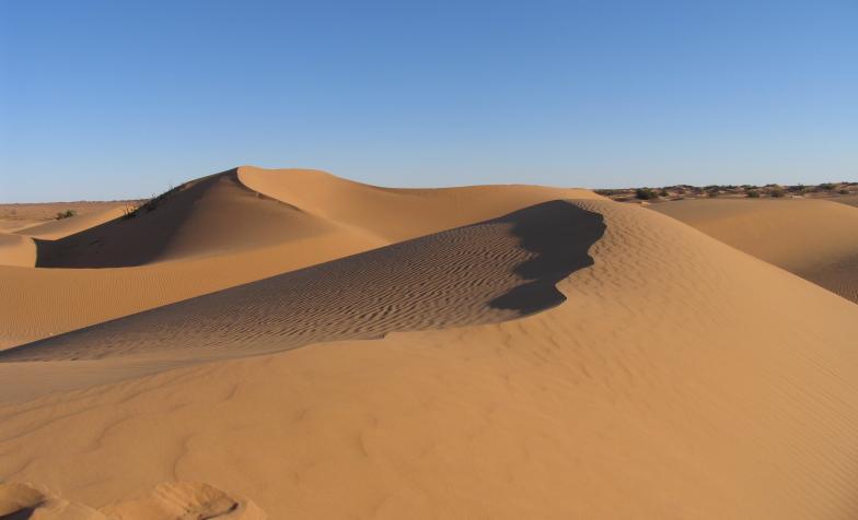 Sahara Desert Trek