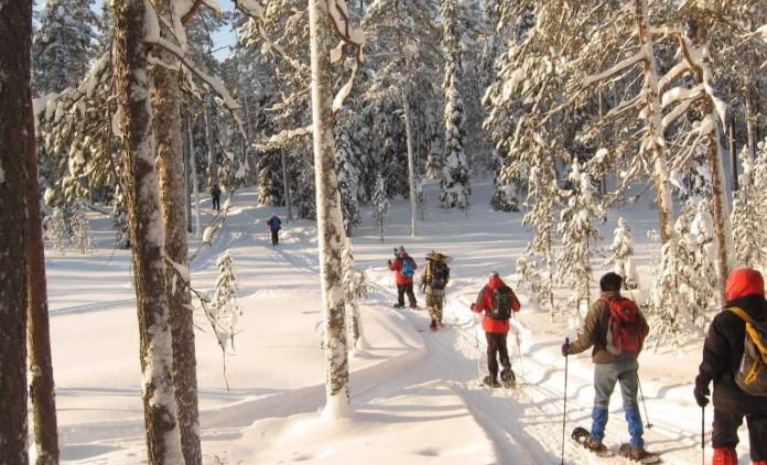 Arctic adventure image of snowshoeing in the forest