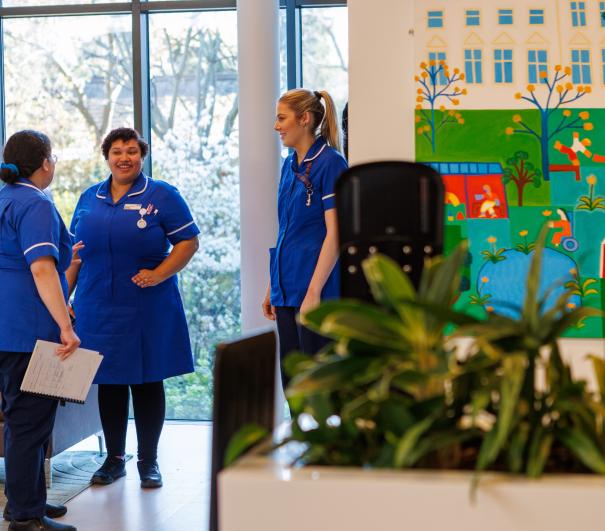 Join us for a Big Conversation on environmental sustainability and hospice quality