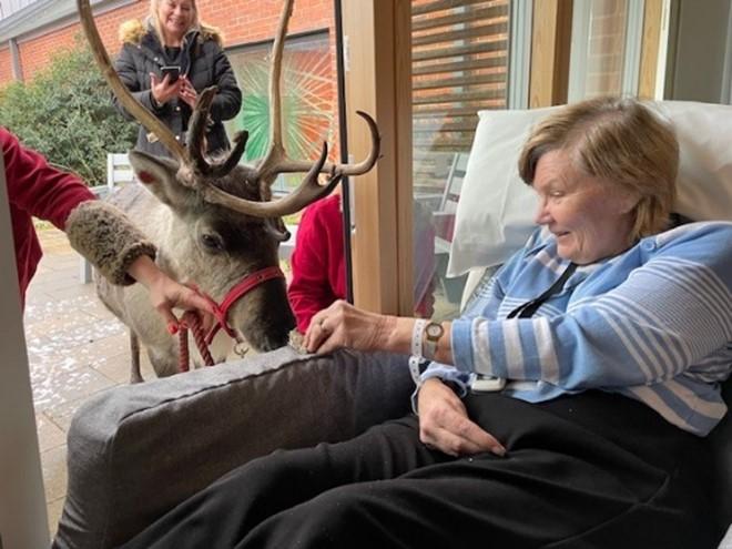 Picture of a patient with a reindeer
