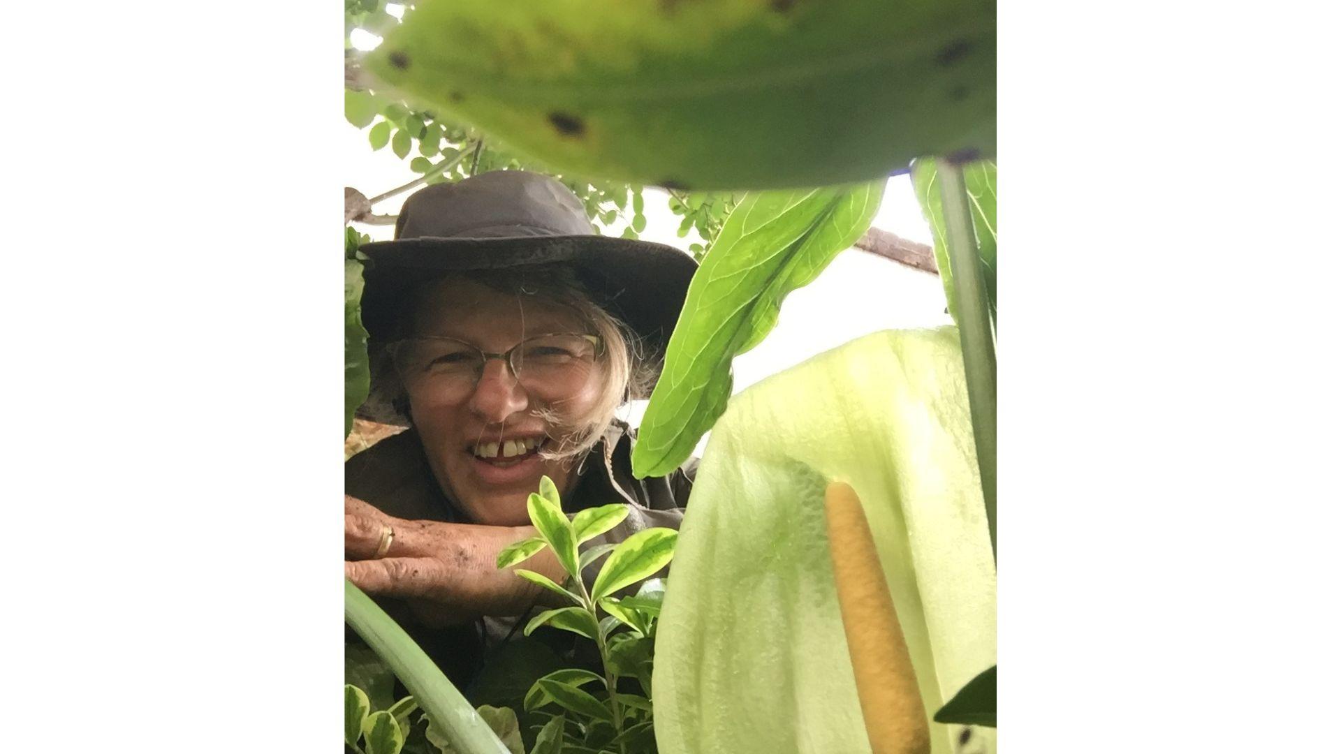Jocelyn Armitage, Head Gardener at St Joseph's Hospice, shares their experience of supporting National Garden Scheme's open gardens