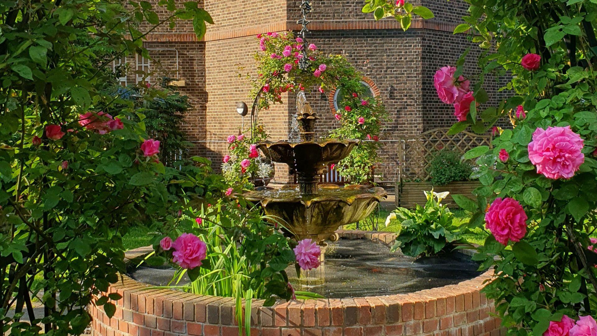 The beautiful gardens at St Joseph's Hospice, opening for the National Garden Scheme