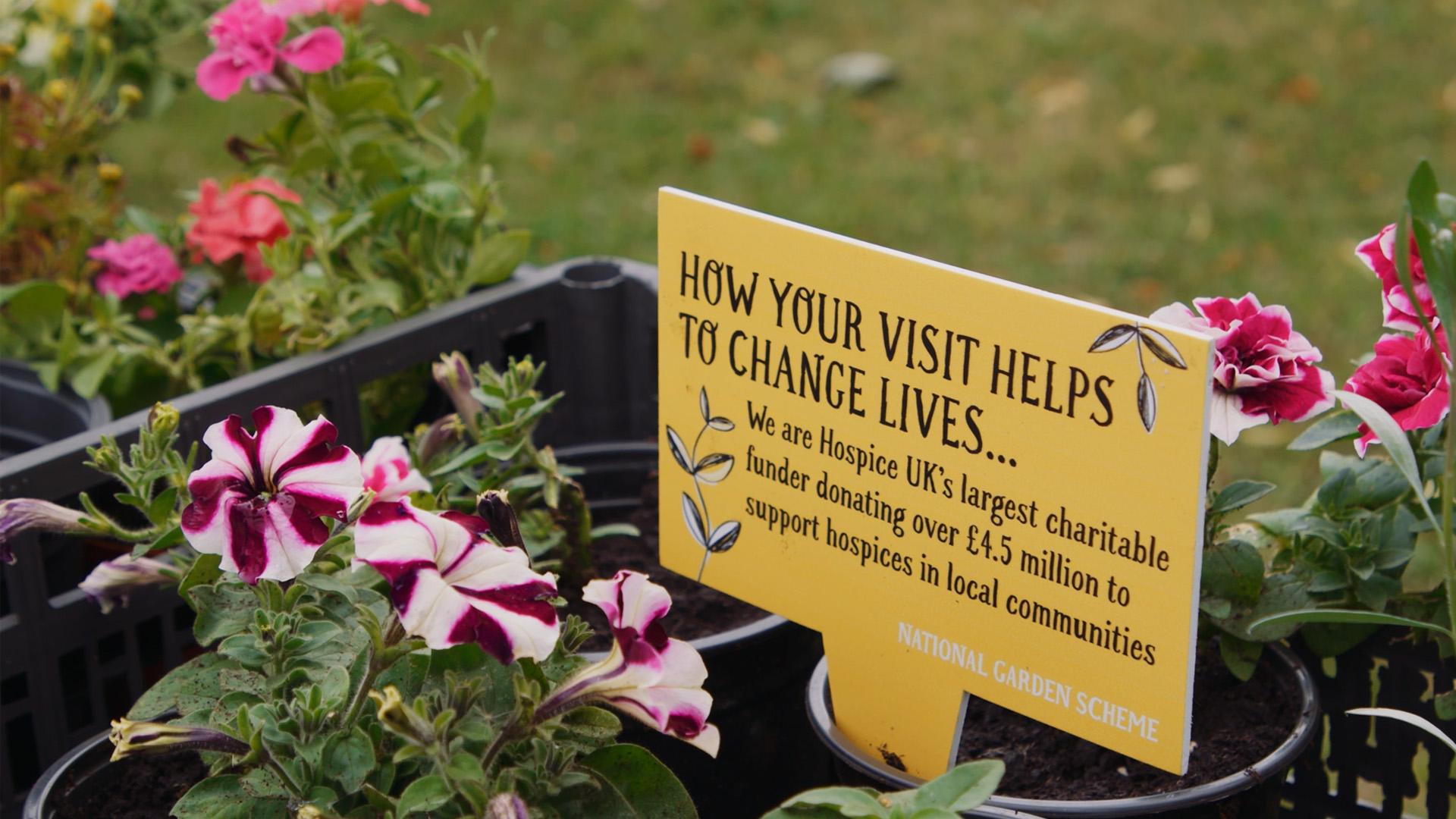 The National Garden Scheme offer hospices lots of support to hold their own open garden