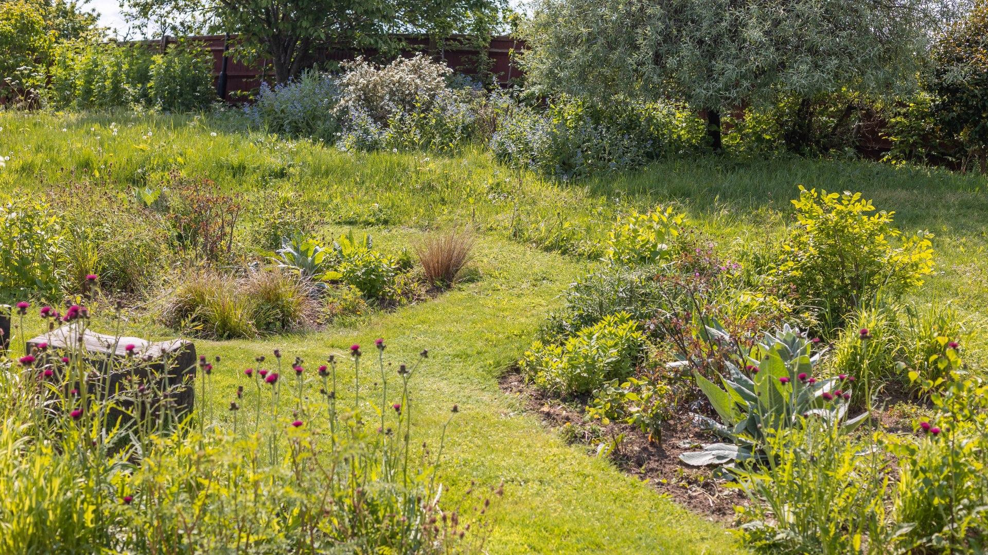 An open garden is a chance for garden volunteers to show off their hard work