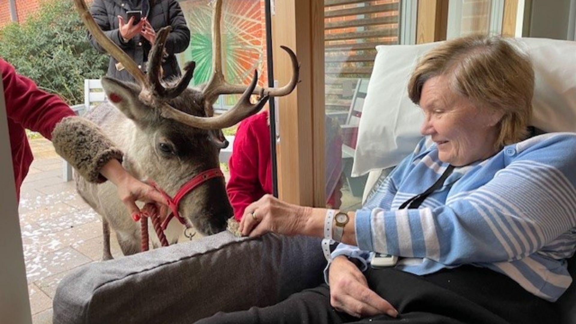 Last Christmas, the Fair Havens Hospice Care Team sprinkled some festive cheer, helping to make final Christmas wishes come true