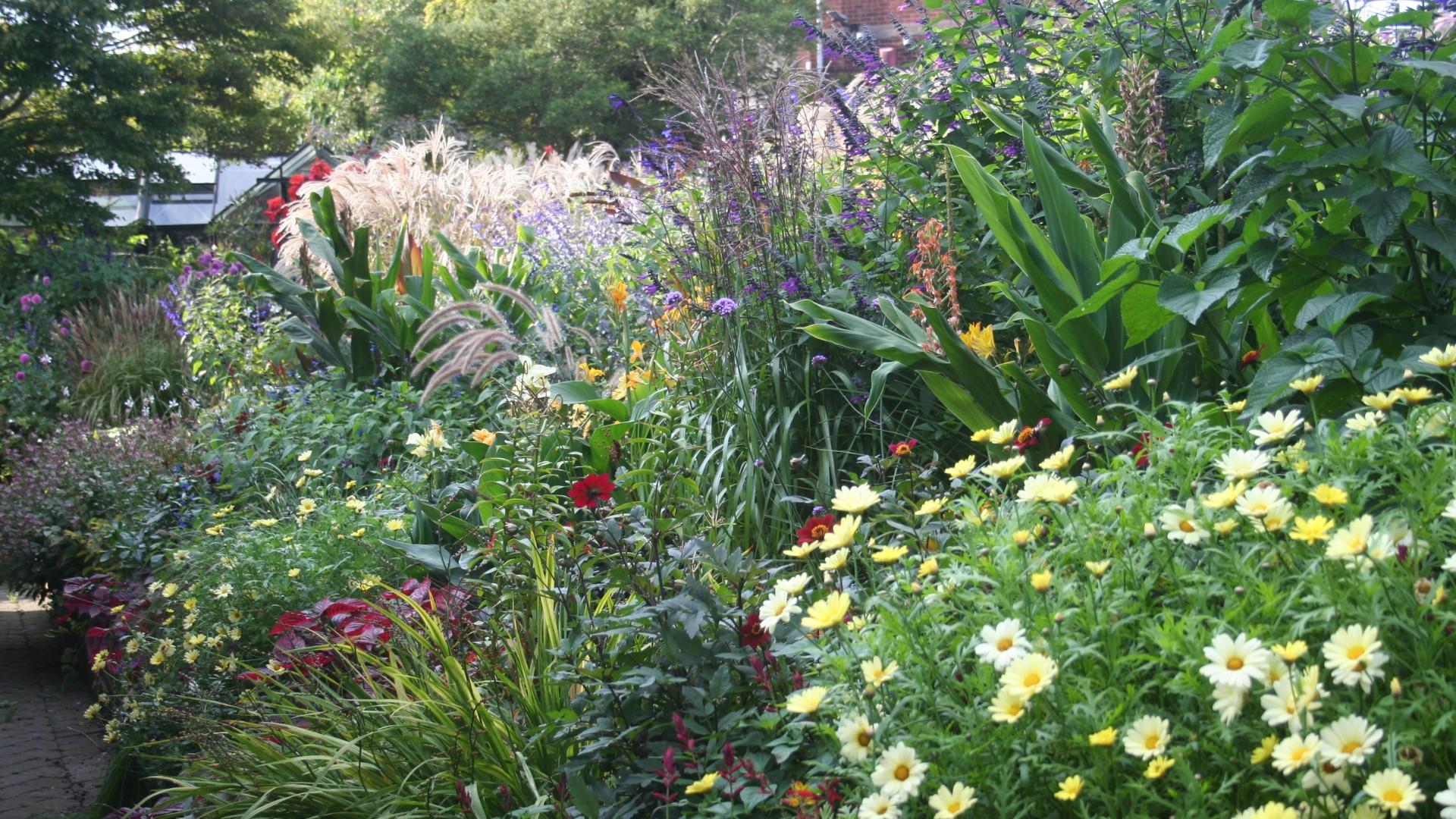 Karen Mann opens her gardens for the National Garden Scheme in memory of her son Jake