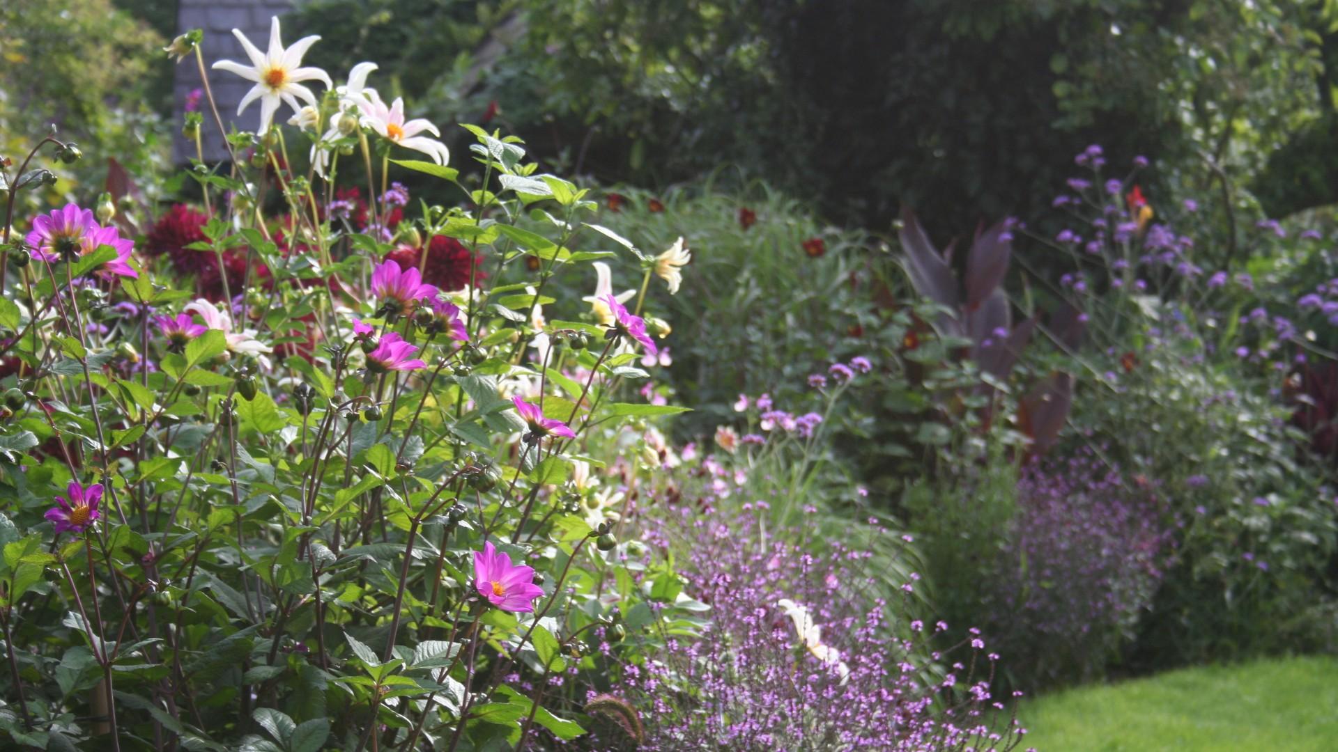 Karen Mann opens her gardens for the National Garden Scheme in memory of her son Jake