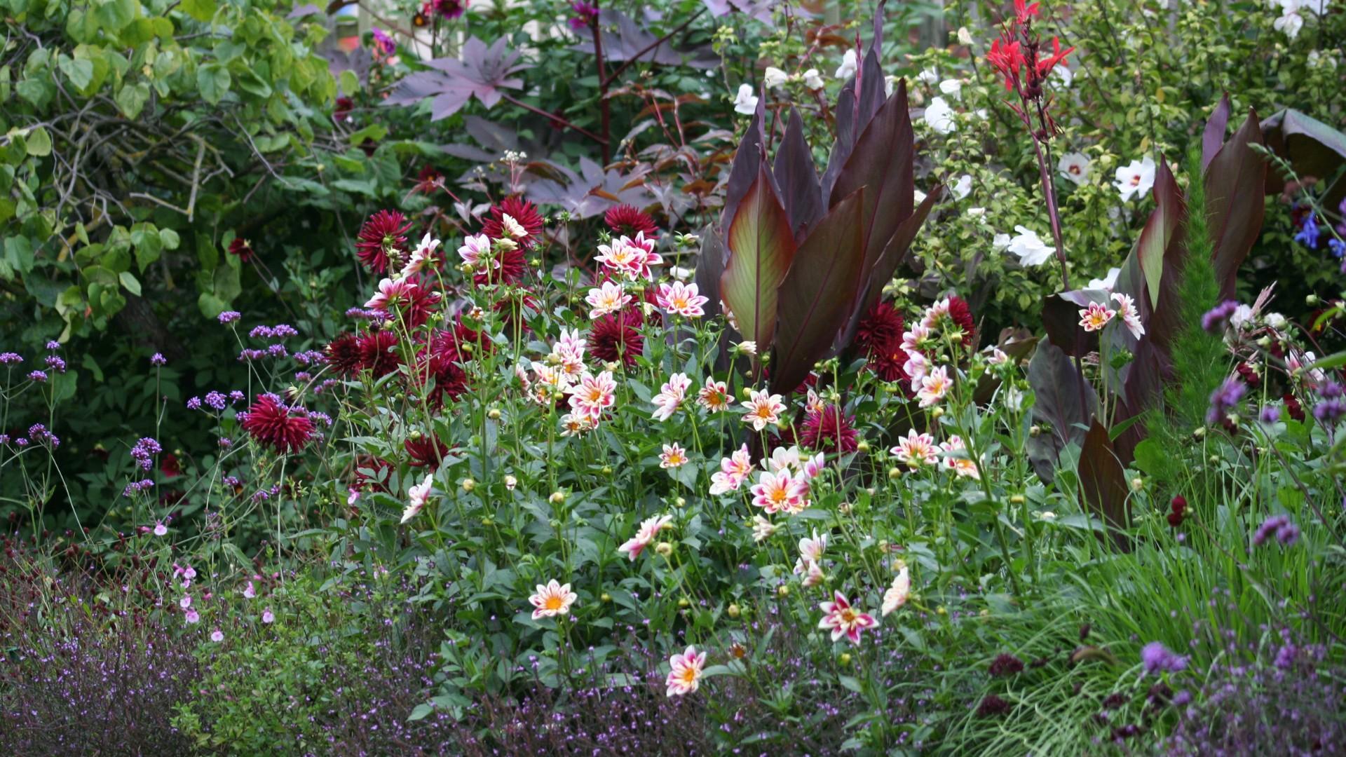 Karen Mann opens her gardens for the National Garden Scheme in memory of her son Jake