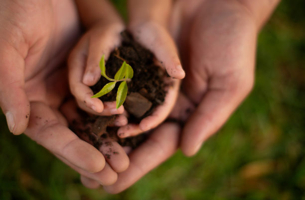 Shaping a better world