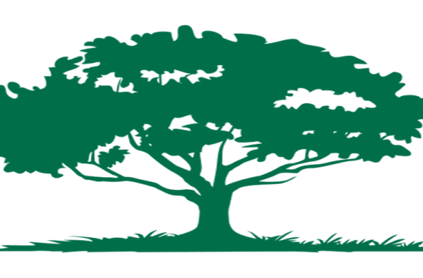 BassetLaw Hospice Logo