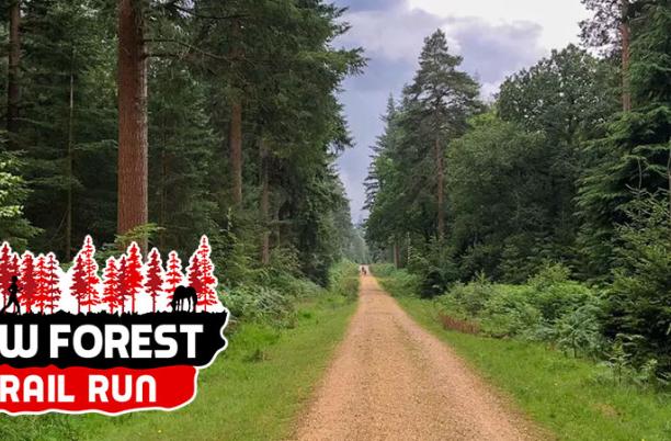 New Forest Brockenhurst Hiking Trail 2026