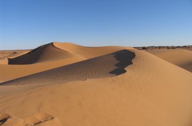 Sahara Desert Trek