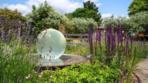 The gardens at Shooting Star for their National Garden Scheme open garden event