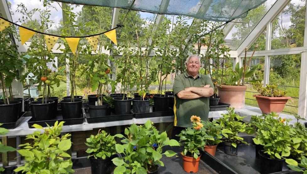 Volunteer gardener, Martin, in the greenhouse