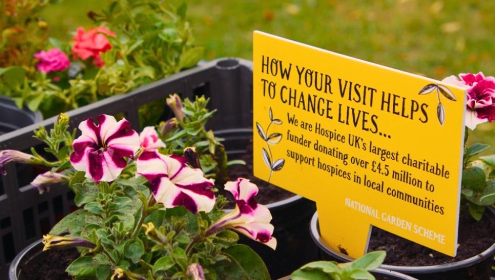 National Garden Scheme open garden image