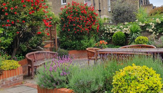 St Joseph’s Hospice: why we open our gardens for the National Garden Scheme