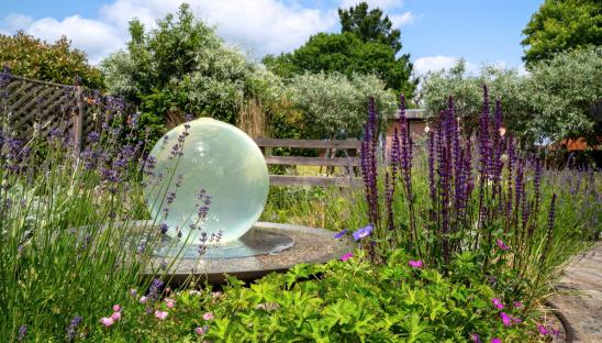 The gardens at Shooting Star for their National Garden Scheme open garden event